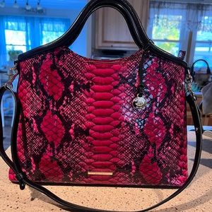 🤩BRAHMIN🤩ZIGGY🤩POTION🤩ELAINE